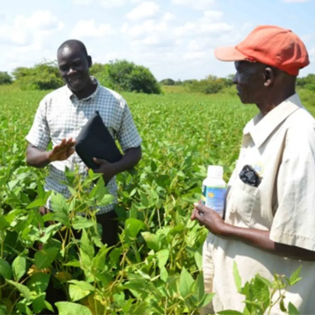 Member of staff, conducting agribusiness training